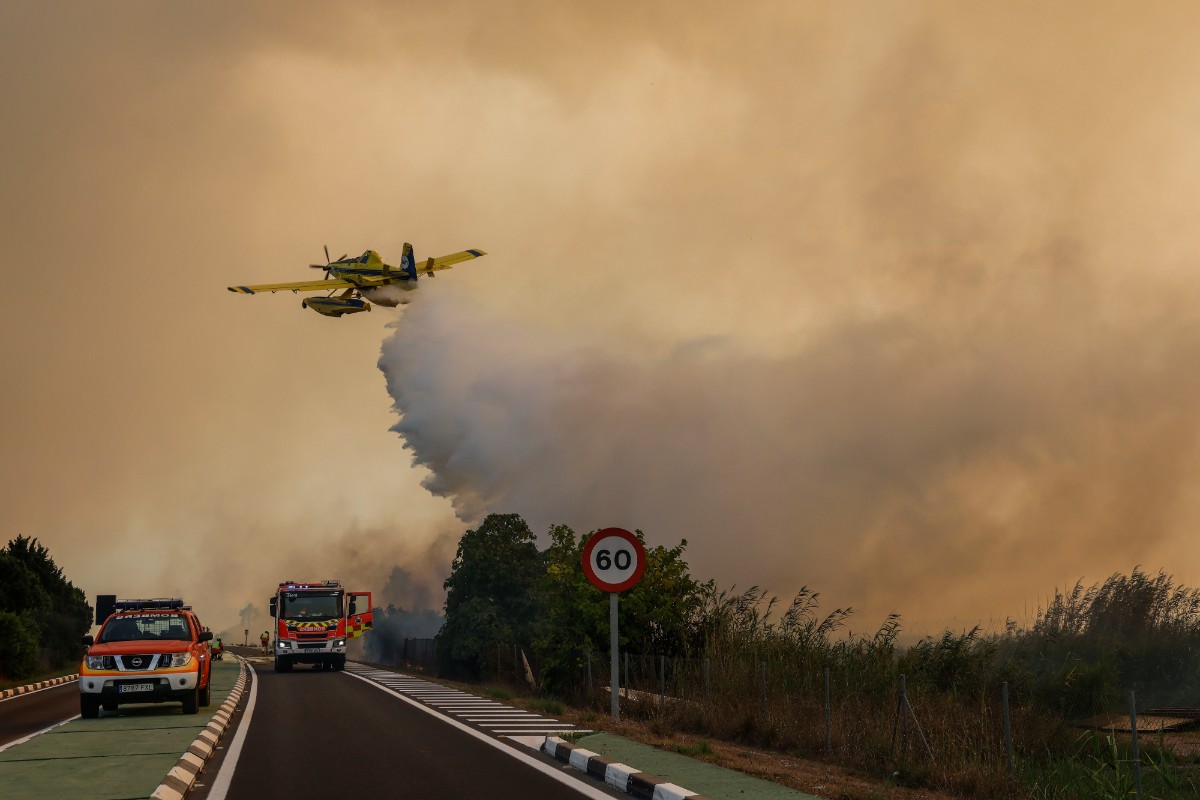 Estabilizado el incendio forestal de El Saler (Valencia) tras afectar a 36 hectáreas de superficie