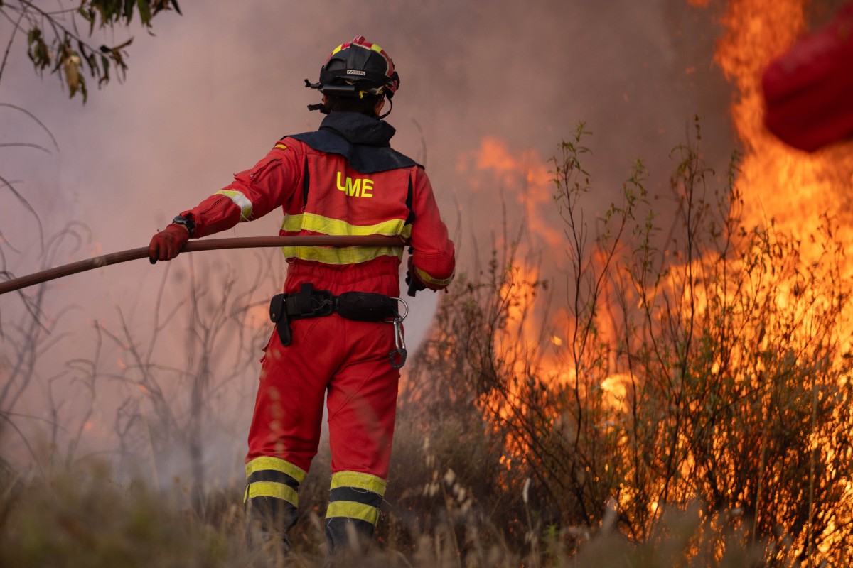 España tiene ya 226.000 hectáreas quemadas, un 38,2% más que el año pasado en estas fechas