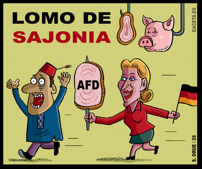 AfD arrasa en Sajonia-Anhalt con el 44% de los votos