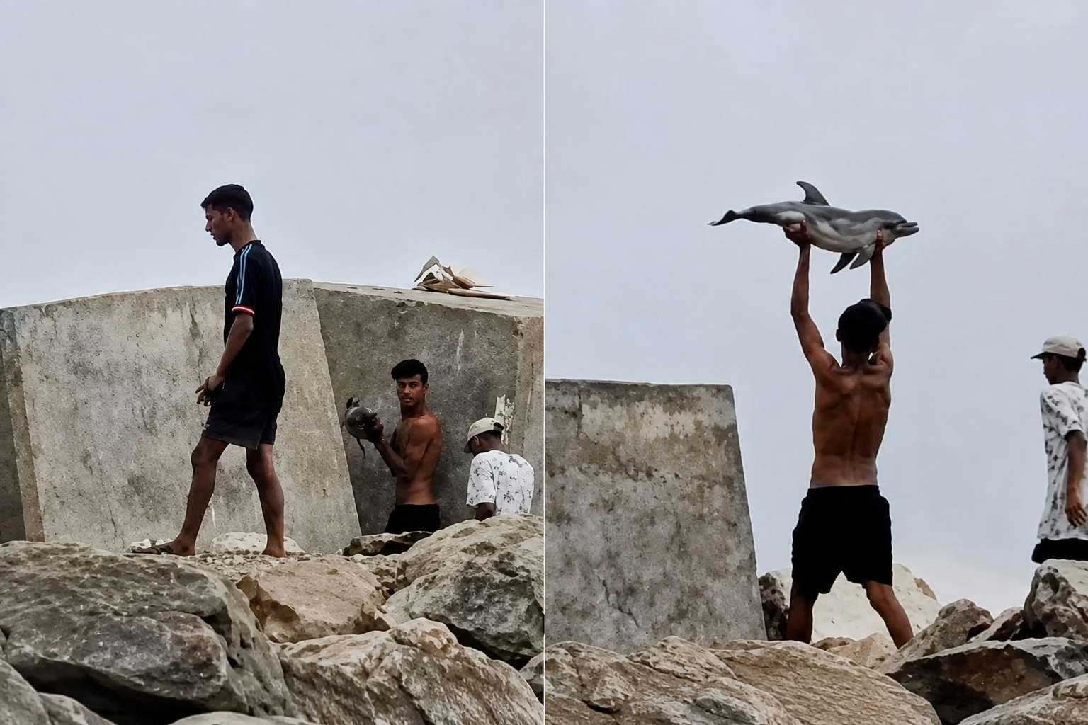 Un inmigrante ilegal aparece en la playa del Trampolín (Ceuta) portando una cría de delfín muerta tras sacarla del mar y darle una paliza