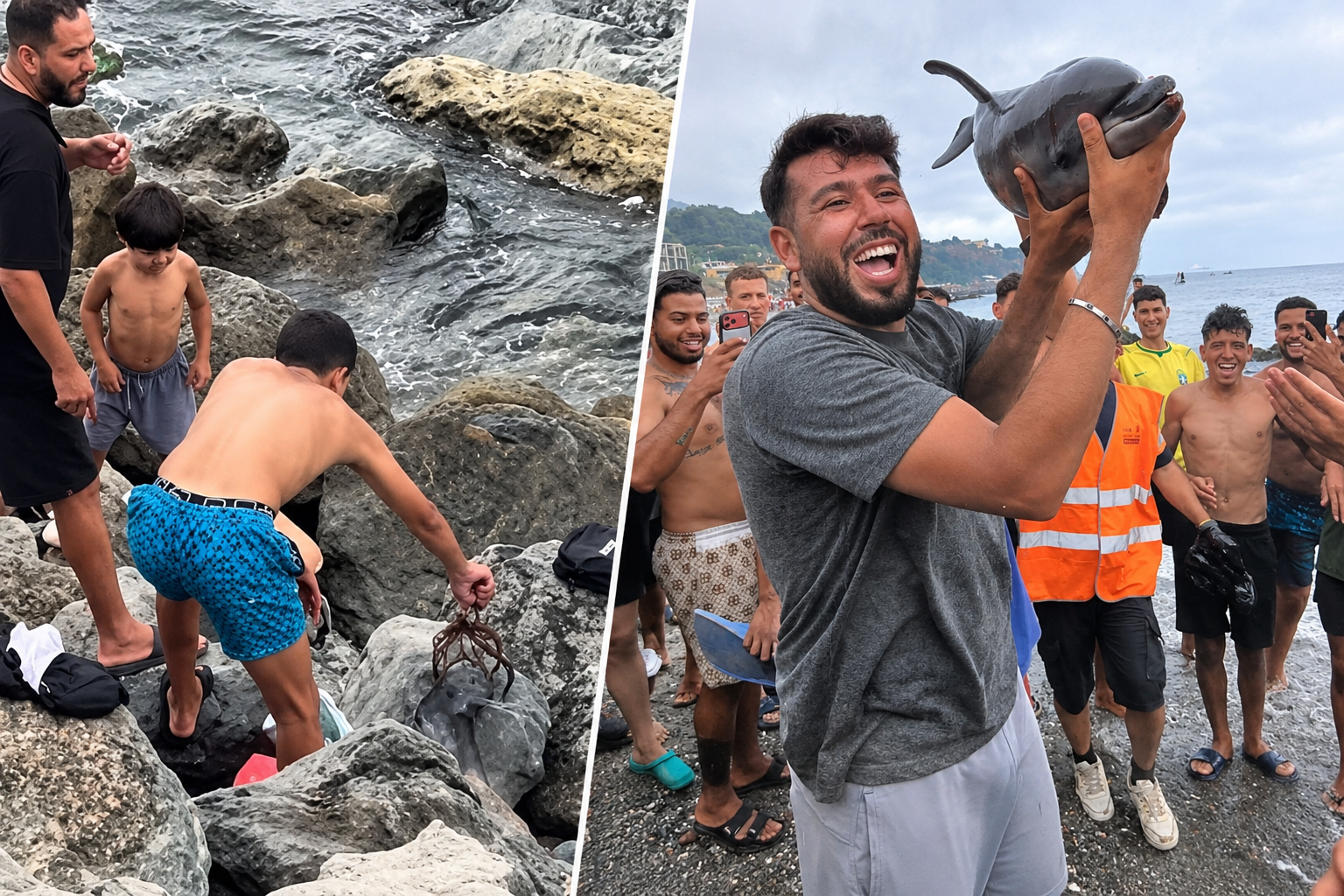 Del delfín a la oca y el pulpo: las graves agresiones en Ceuta perpetradas por invasores y documentadas por una asociación ecologista
