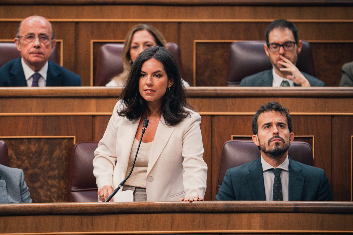 VOX exige la comparecencia de Óscar Puente para que explique por qué las obras de renovación no evitaron el accidente de Adamuz