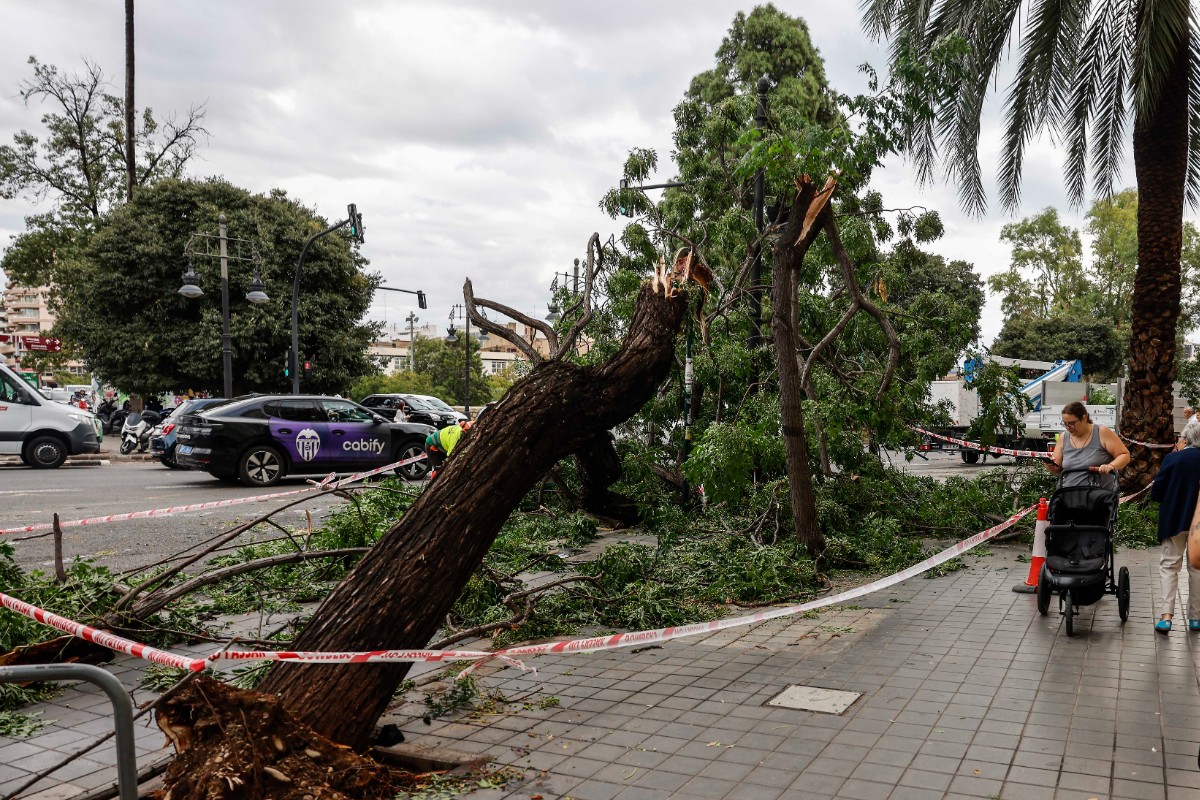 Valencia amanece en alerta tras revivir ayer las pesadillas de la dana: «¡Dos años después no se ha hecho nada!»