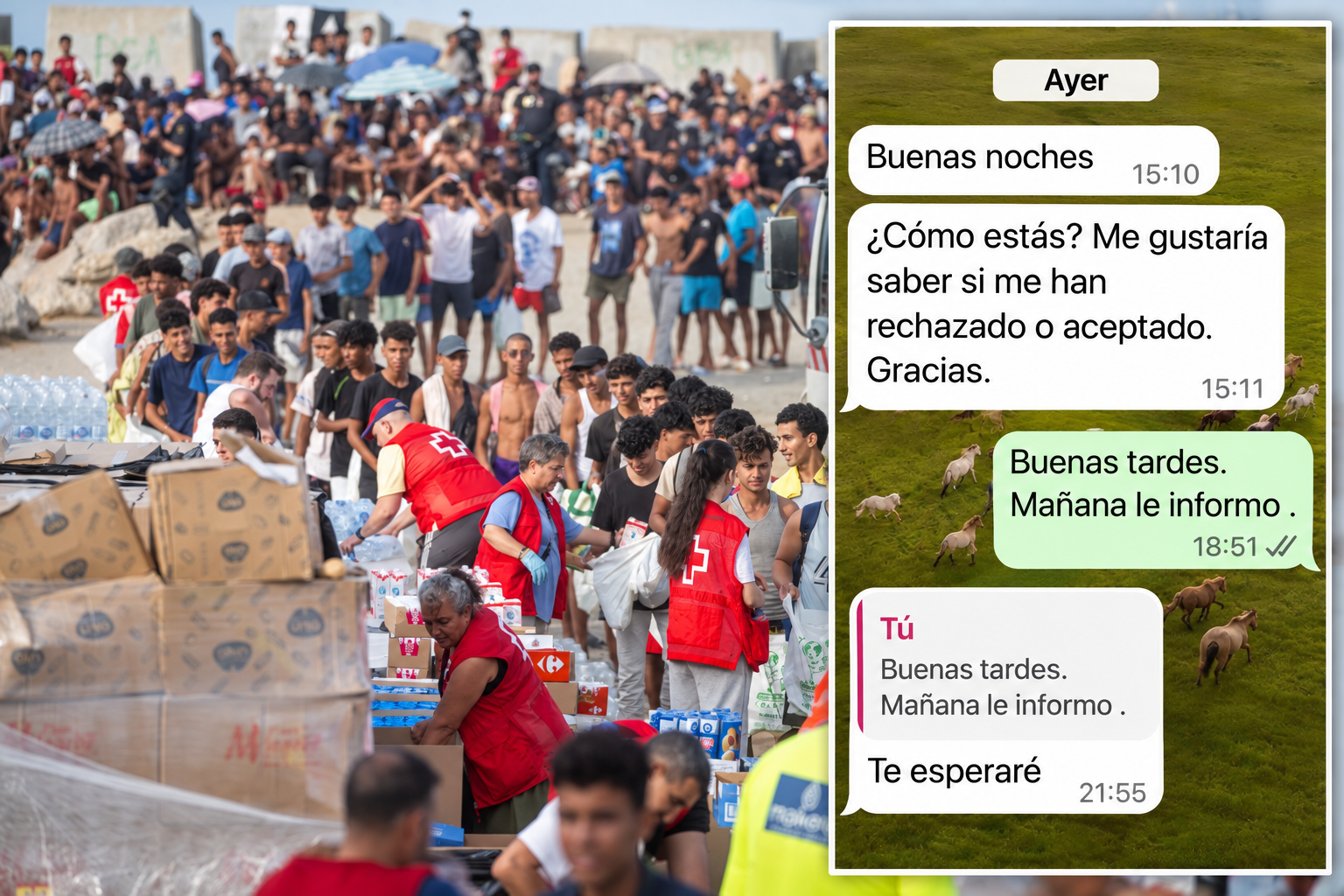 Una abogada revela que las ONG filtran los números de sus compañeros a los inmigrantes ilegales y escriben desde sus móviles para solicitar el asilo