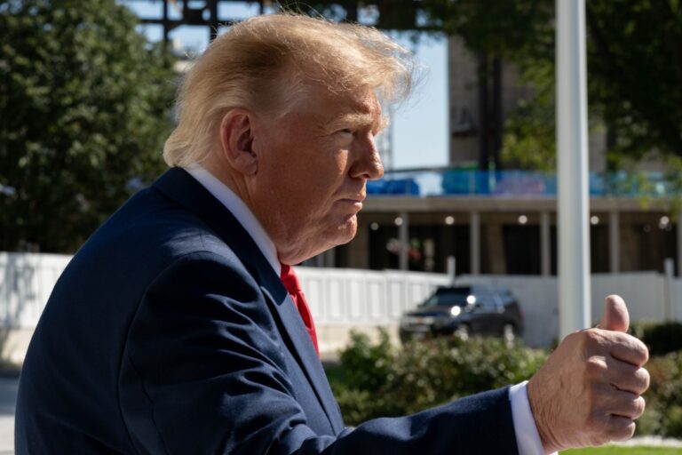 Trump ofrece 880.000 euros de recompensa a quien denuncie y demuestre casos de fraude electoral en EEUU